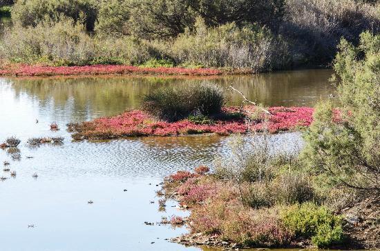 Reserva Natural del Río Guadalhorce